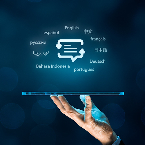 Computer-Assisted Translation Tools logo